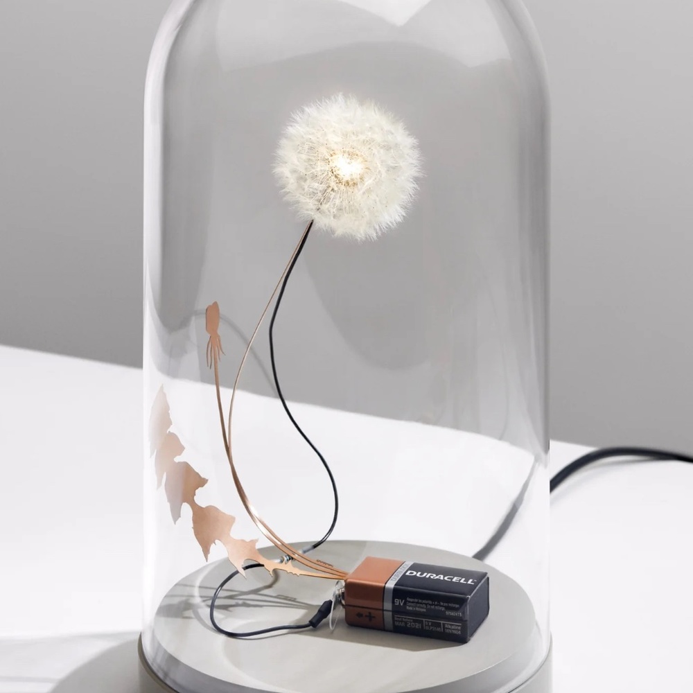 Dandelight Lamp/Ambient Light